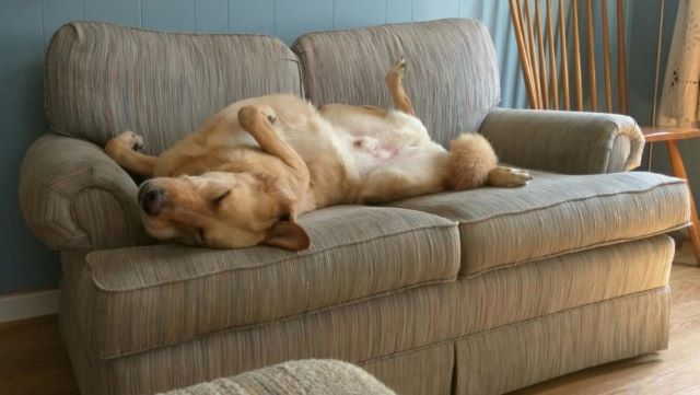 Como limpiar un sofa enjabonado secado.